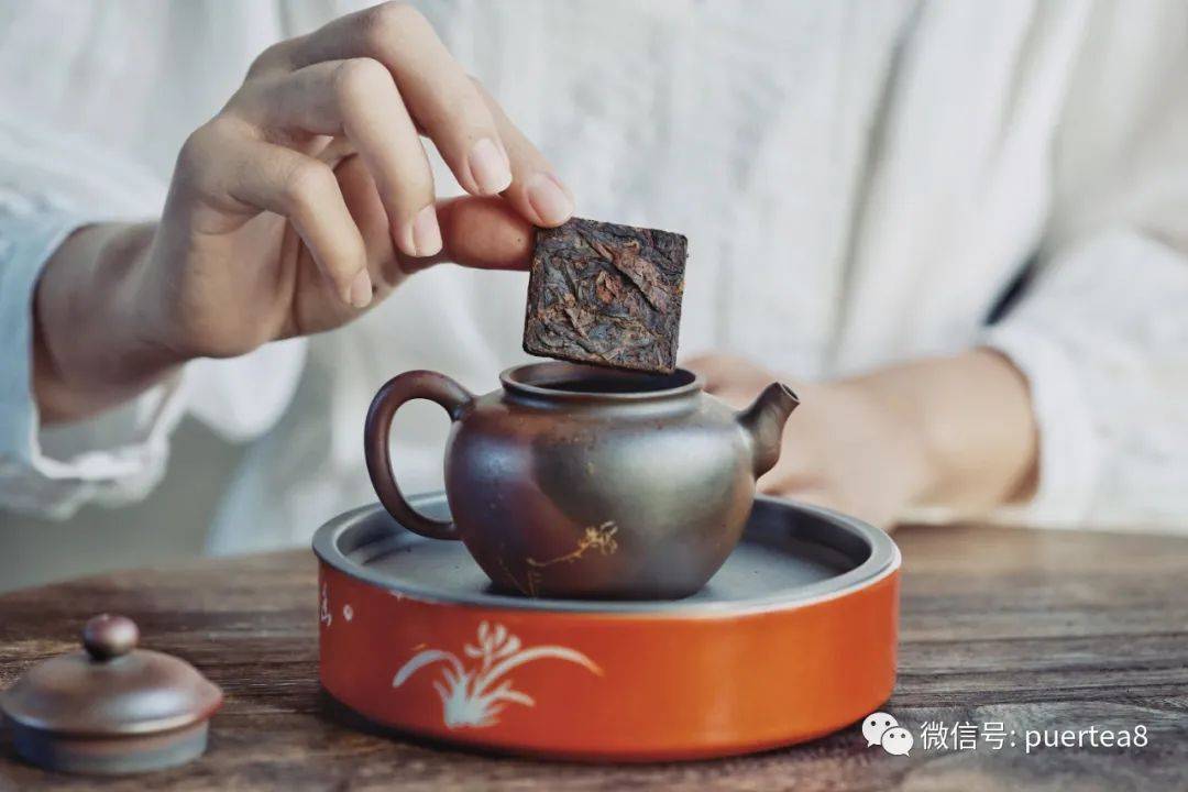 紧压茶|泡一杯茶，你要放多少茶叶？