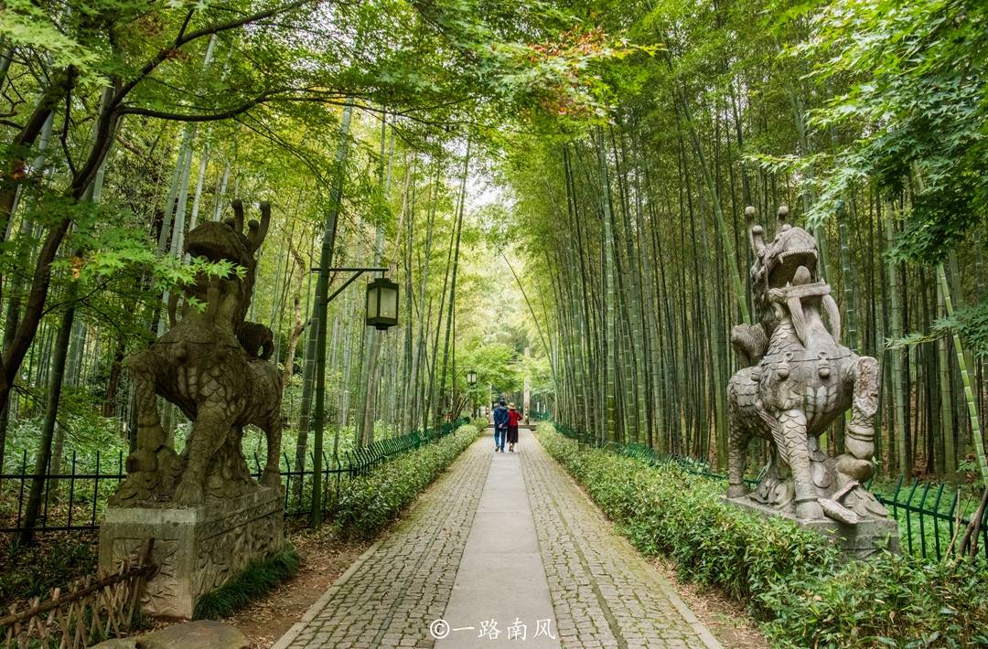 杭州西湖边冷门景区，竹子数量全城第一，意境幽美游客却不多