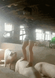 搞笑gif段子:【4】老公总说买车,看两年车展了也没有买