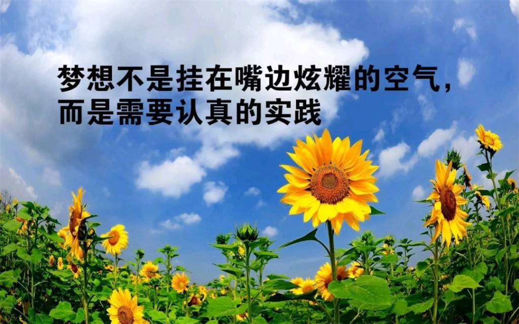 早安心语阳光向上的句子,让人心里暖暖的,早上好!