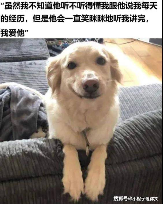 爆笑圖片：一個選厚薄，一個選花紋？ 搞笑整蠱 第3张