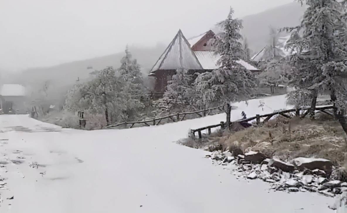 下雪啦重庆迎断崖式降温多地降雪那些年主城下过的雪你还记得吗