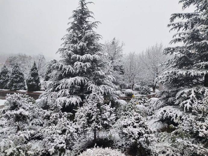 西安雪景美图丨美院:雪是写给人间的诗 唐三藏:我冷