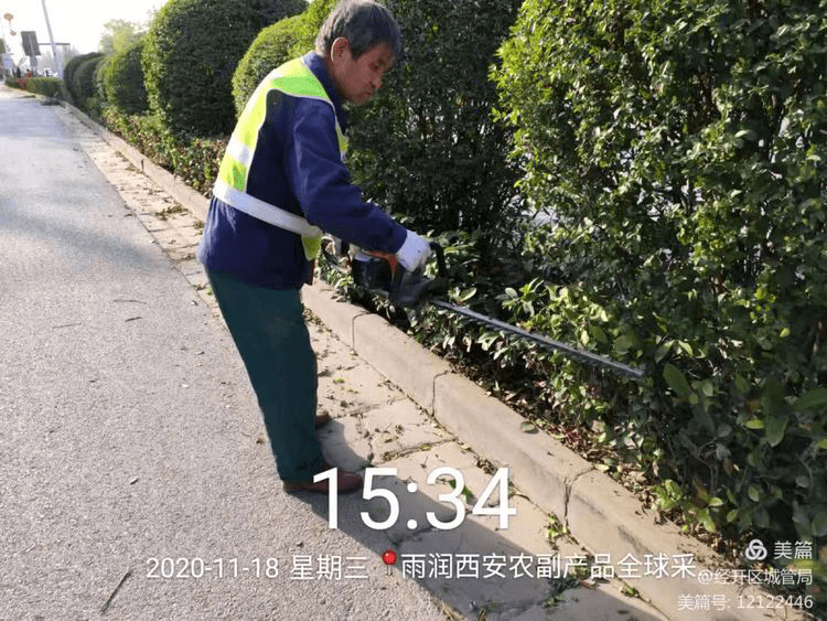 经开区多措并举开展秋冬季苗木养护工作