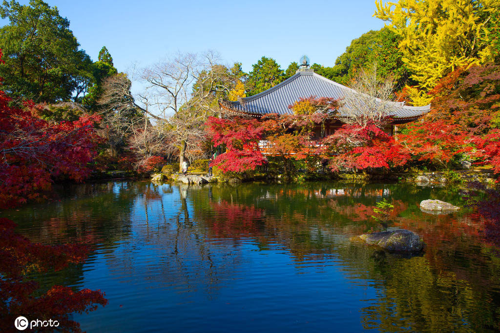 浪漫醉红叶 日本世界文化遗产醍醐寺秋景美不胜收