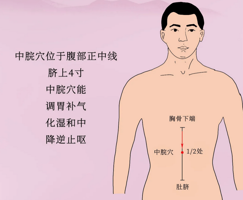 1,中脘穴位置:位于人体上腹部,前正中线上,当脐中上4寸.