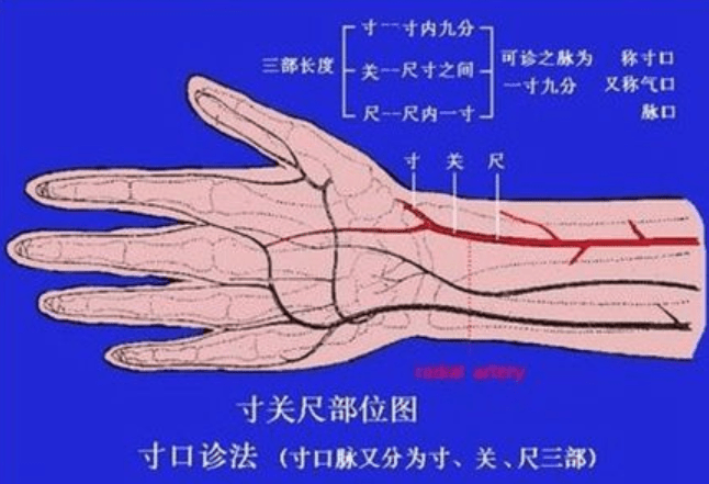 7b2e4c9deb774a1a93a9e29ba26cd50f.png