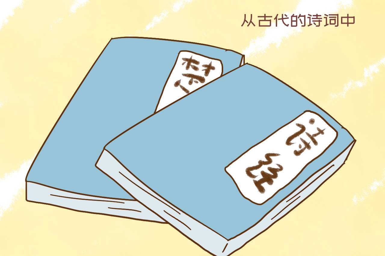 7f55c06d53ef4e0ebb2cf241589a6029.jpeg