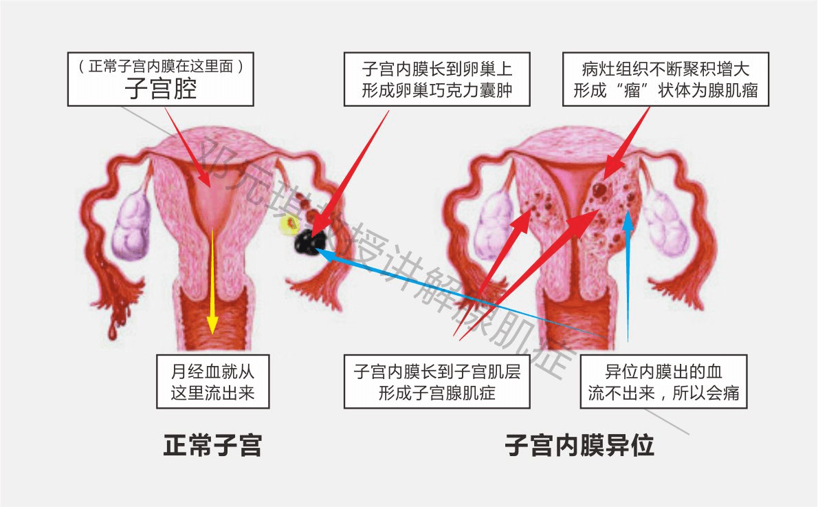 d5225c0274a74fb0a34d260b6fe40a4a.png