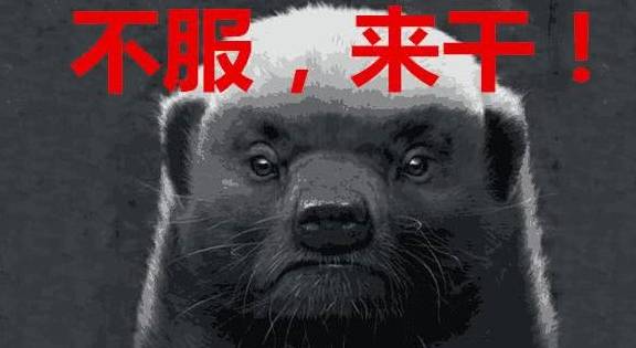 平头哥是什么动物的天敌 135b953841f14fdbb88754be71b28865.jpeg