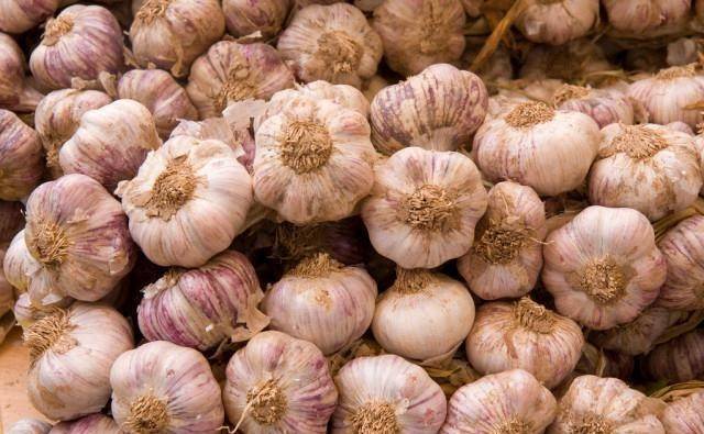 蒜头怎么保存不会腐烂 1a5c04361c6e40f3a87ea46e9f92a3e7.jpeg