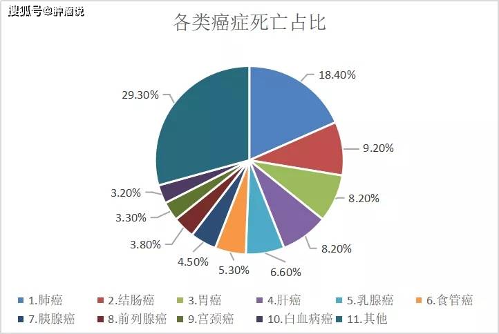 肺癌脑转移后怎么办