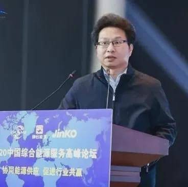 研究所可再生能源发展中心副主任栾栋彭博新能源财经高级分析师李振杰