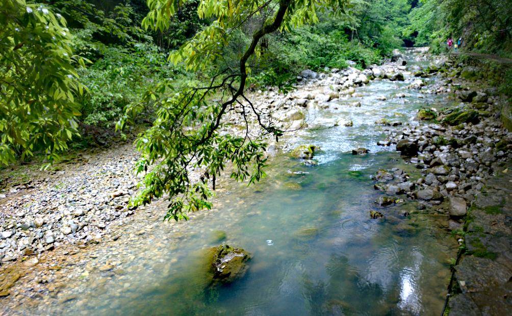 黄村gdp_湛江市东黄村(2)