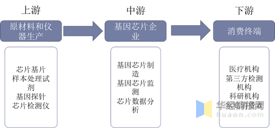 什么是基因芯片 836199dc11a346ccae8317fd91b6f2b8.png