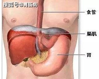 吃吸油丸胃疼怎么回事