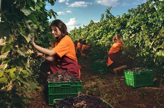 摩尔多瓦gdp_摩尔多瓦美女