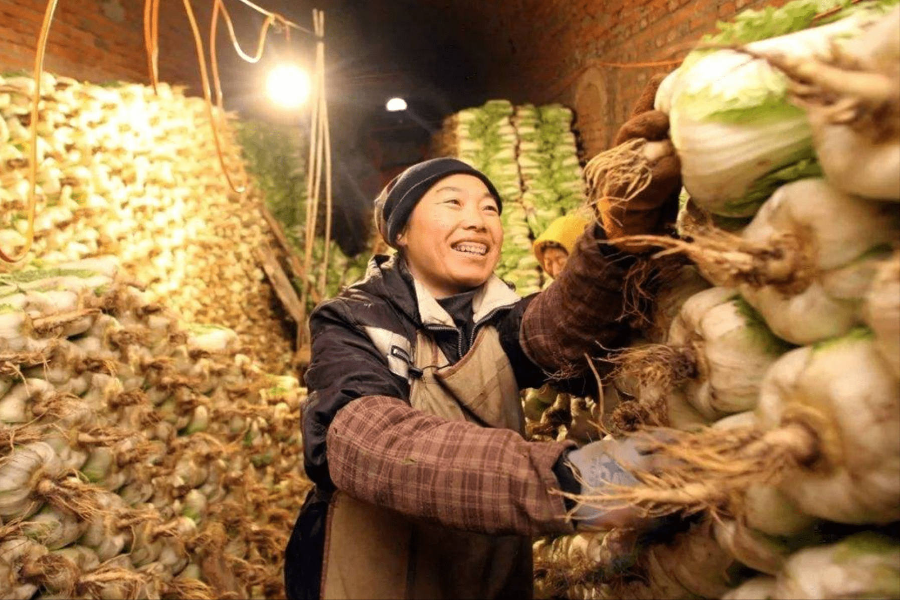 30年前的东北人怎么过冬?地窖全是菜,水果饺子随手就扔院子里