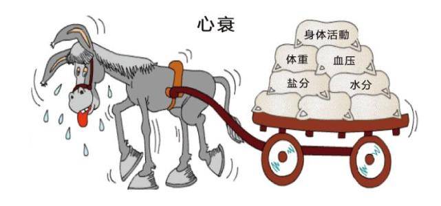 什么方法可以减轻心脏负担 df944899e2e9427a84735967eb582782.jpeg