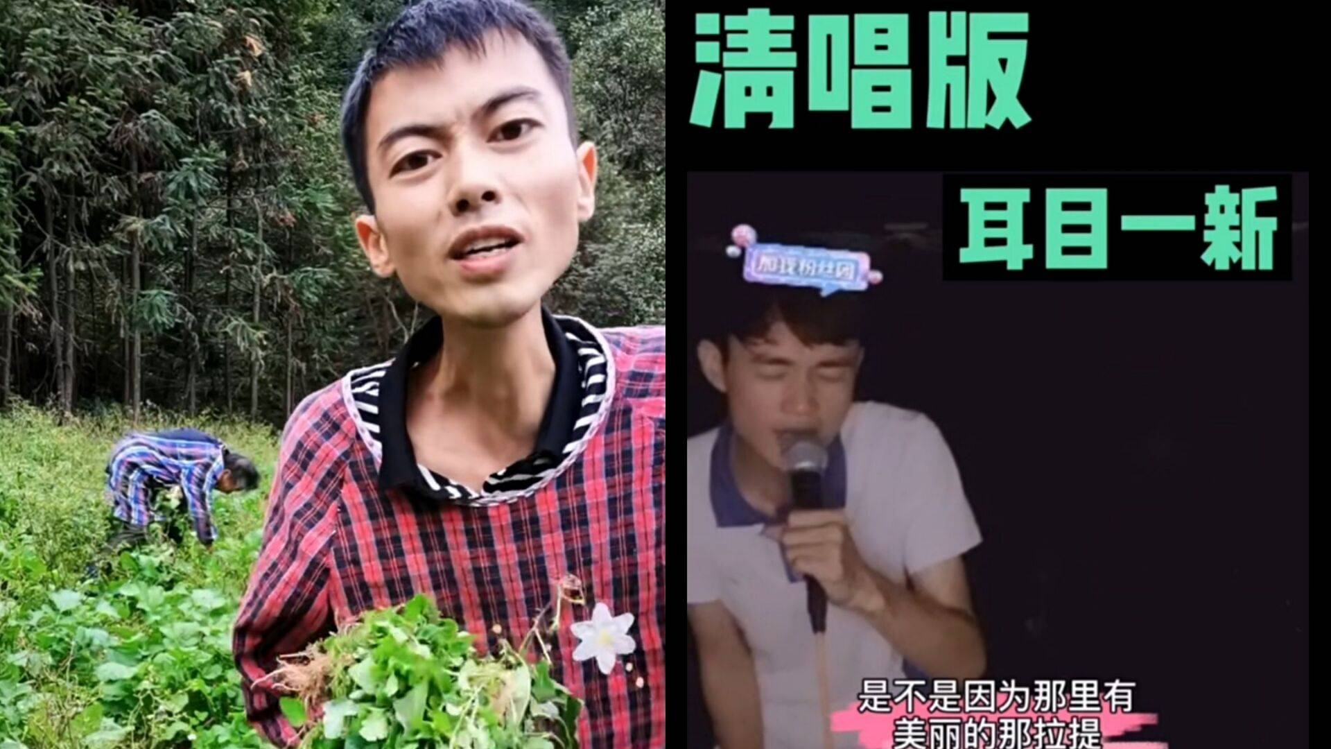 实锤可可托海的牧羊人洋仔再次翻车连清唱都是对口型