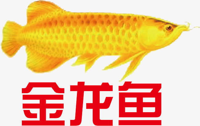 京泉物流和金龙鱼粮油益海嘉里集团达成合作
