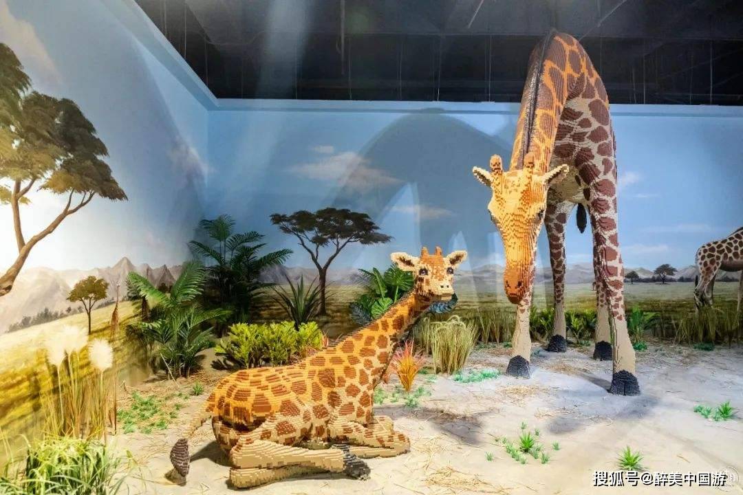 探访深圳大梦探索乐园,寓教于乐,沉浸式体验,老少皆宜
