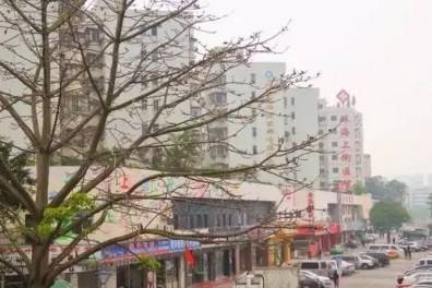 上冲村人口_上冲村
