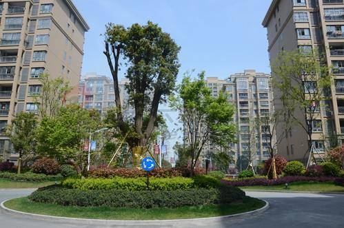 2020年浙江省各区县_2020年底浙江所有县市区力争无欠薪