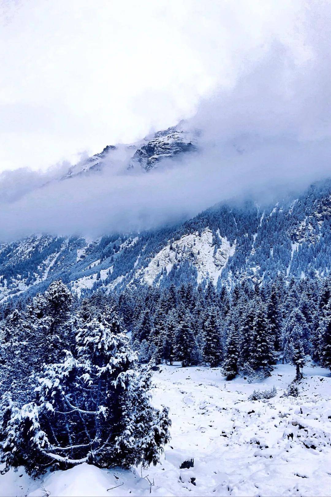 新疆有哪些好看的雪景,新疆有哪些冰川,新疆旅游景点推荐
