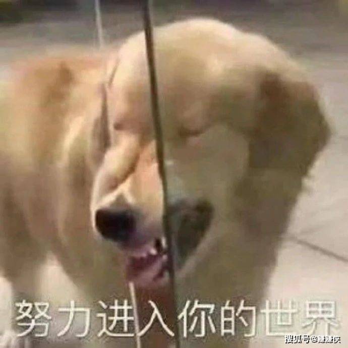 热门表情包图片:最酷的开黑,我一个打五个