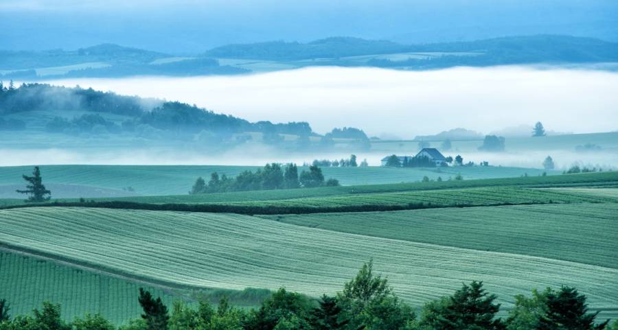 双十一后家电企业都在忙什么? 各种忙却不赚钱,又不得不忙!-家电圈官网
