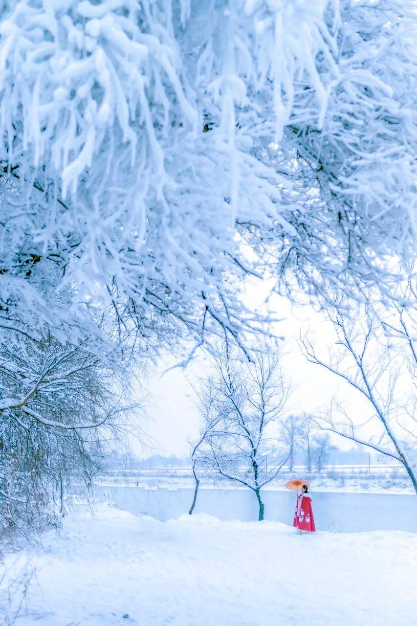 要么往北看雪,要么往南看海!你想去哪儿?