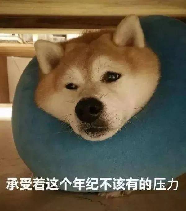 或片段化睡眠 这表明没有得到足够的睡眠,意味着身体已经筋疲力尽
