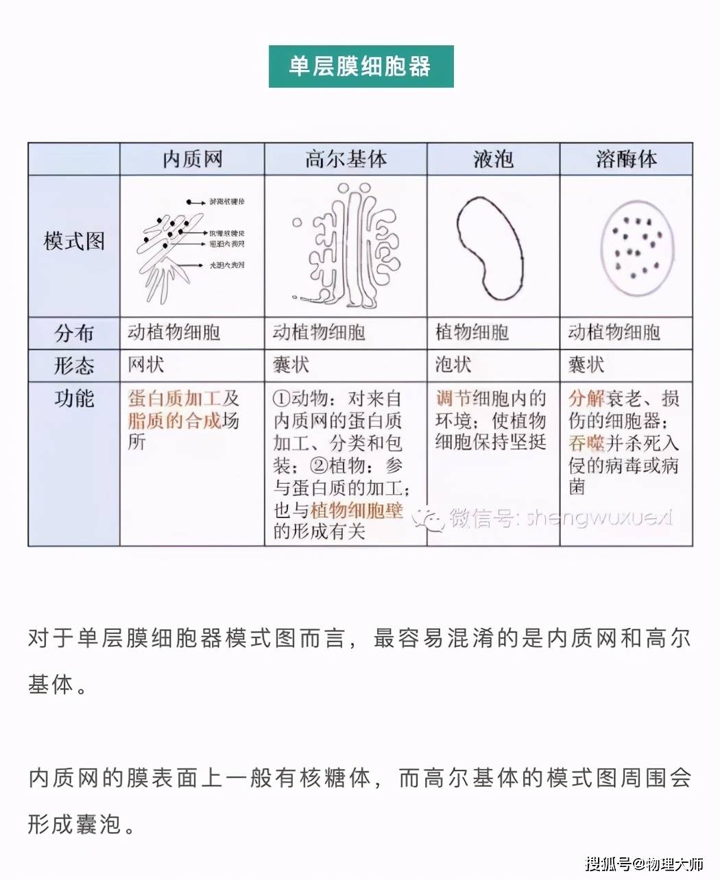 总裁每走一步就顶一下小说 手机版哪个好