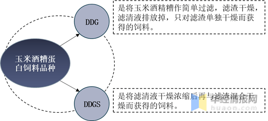 2019年中国ddgs行业产能分析在动物饲料中有广泛应用