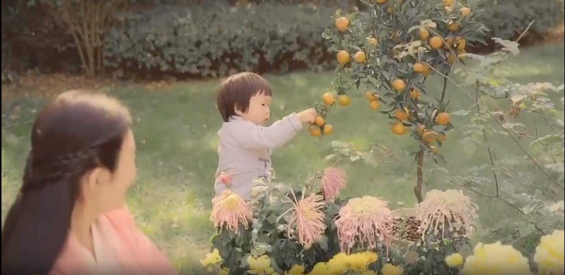 张纪中娇妻豪宅院外生火烤橘子,为“老爷”暖