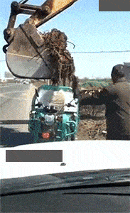 4b6b1c4d685a4f8ebebdbefc9dae7049.gif