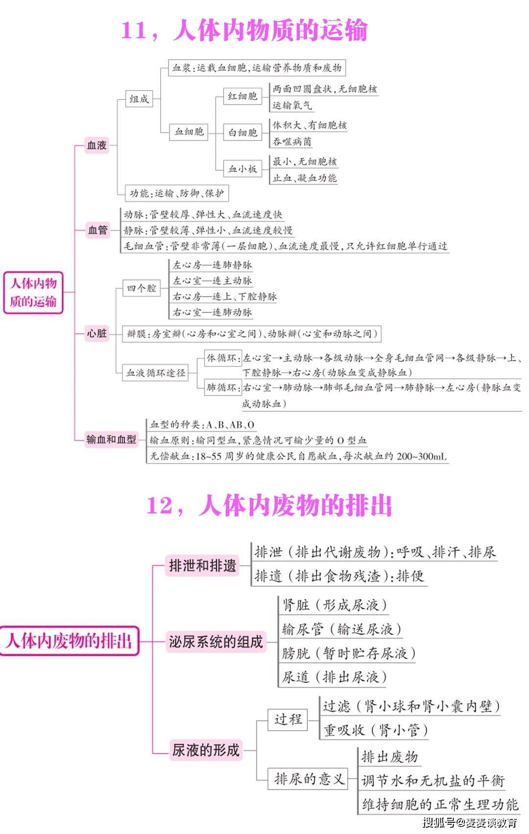 生物|七年级生物13个知识点思维导图(上下册)13张图全