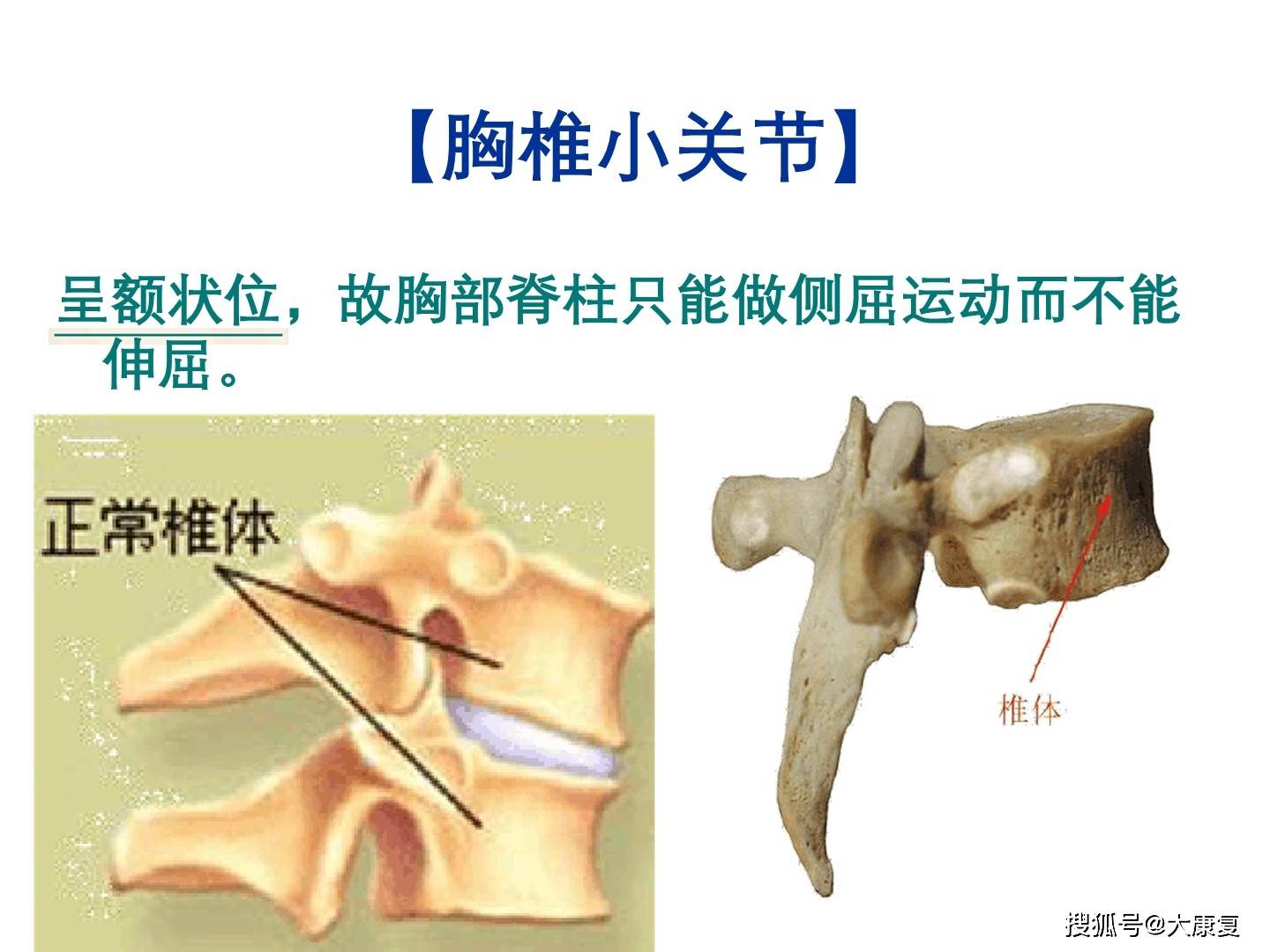 脊柱小关节紊乱