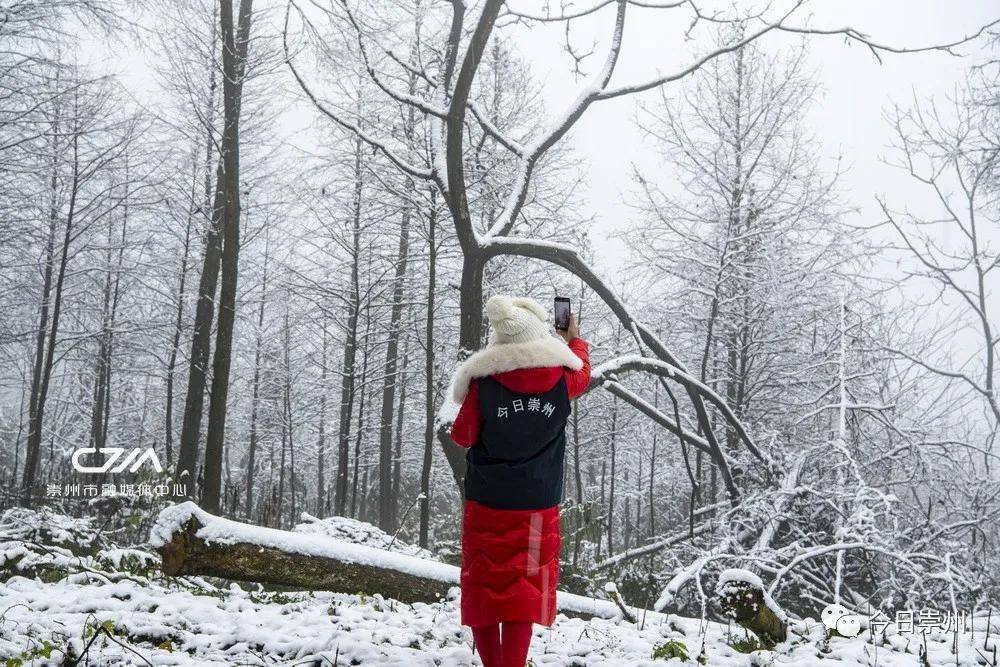 大雪!崇州雪大!