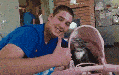58ac5dae72534068b3dcc2525c05a7e4.gif
