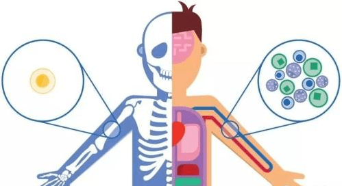 急性白血病能治好吗需要多少钱 5f27827d6a3a443eb38d73a741350c40.png