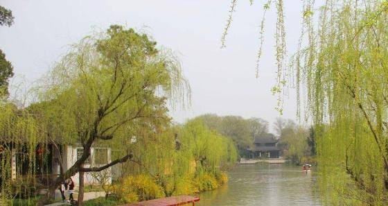 杨柳什么什么成语