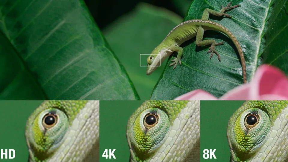 什么|当我们在谈 8K，我们在谈什么？