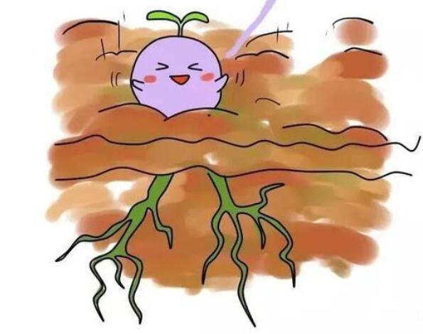 啥时候打夜针 ef03df88e31b4b0ca7ac549104aaac7a.jpeg