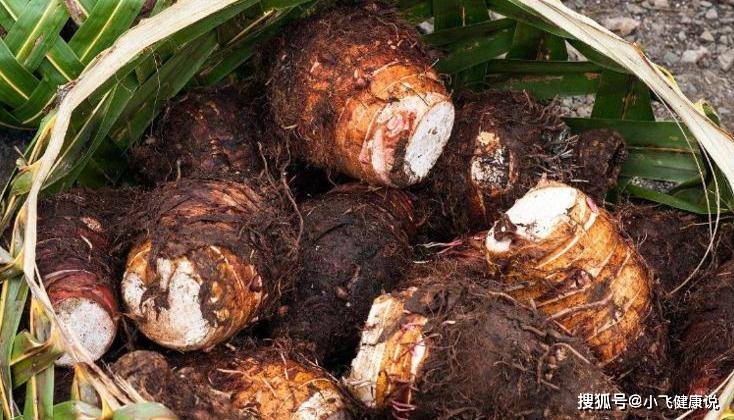 湿松茸怎么吃比较好 107bf7257fcf41279c4a78d8e073064d.jpeg