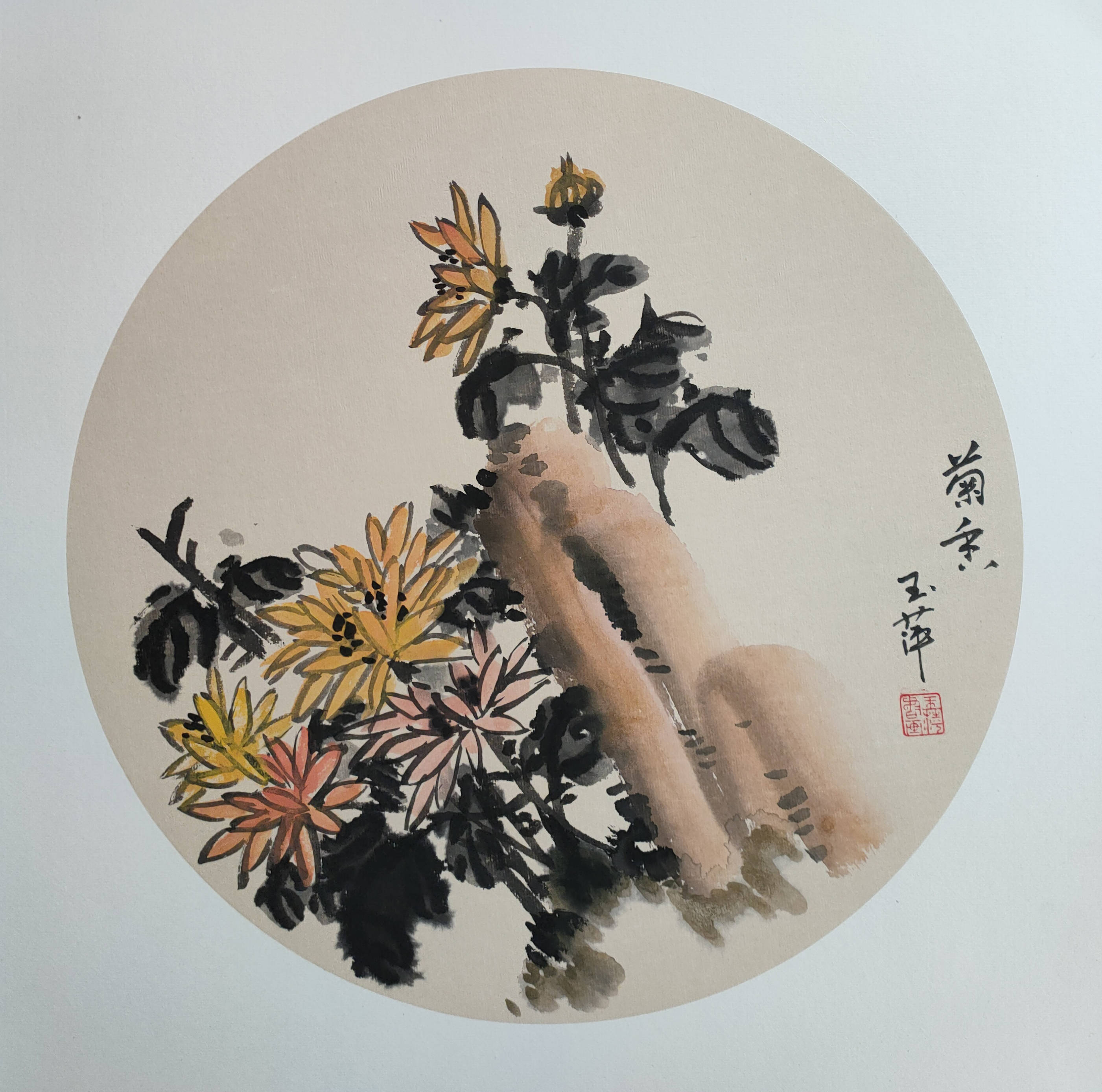 岁寒而不忘学,年高亦可有志_菊花