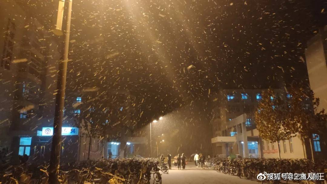 看窗外!天津下雪了