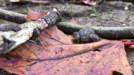 搞笑gif段子:在一起三年的女朋友,我觉得时候分手了