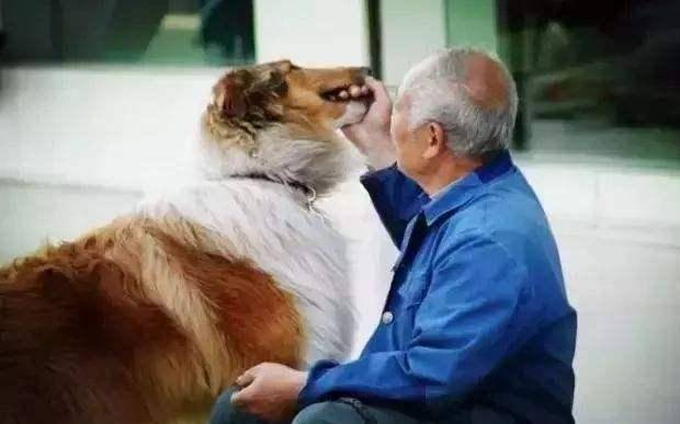 什么是五服看完就懂了 587793d48506470c9b7bb8cb4887d35e.jpeg